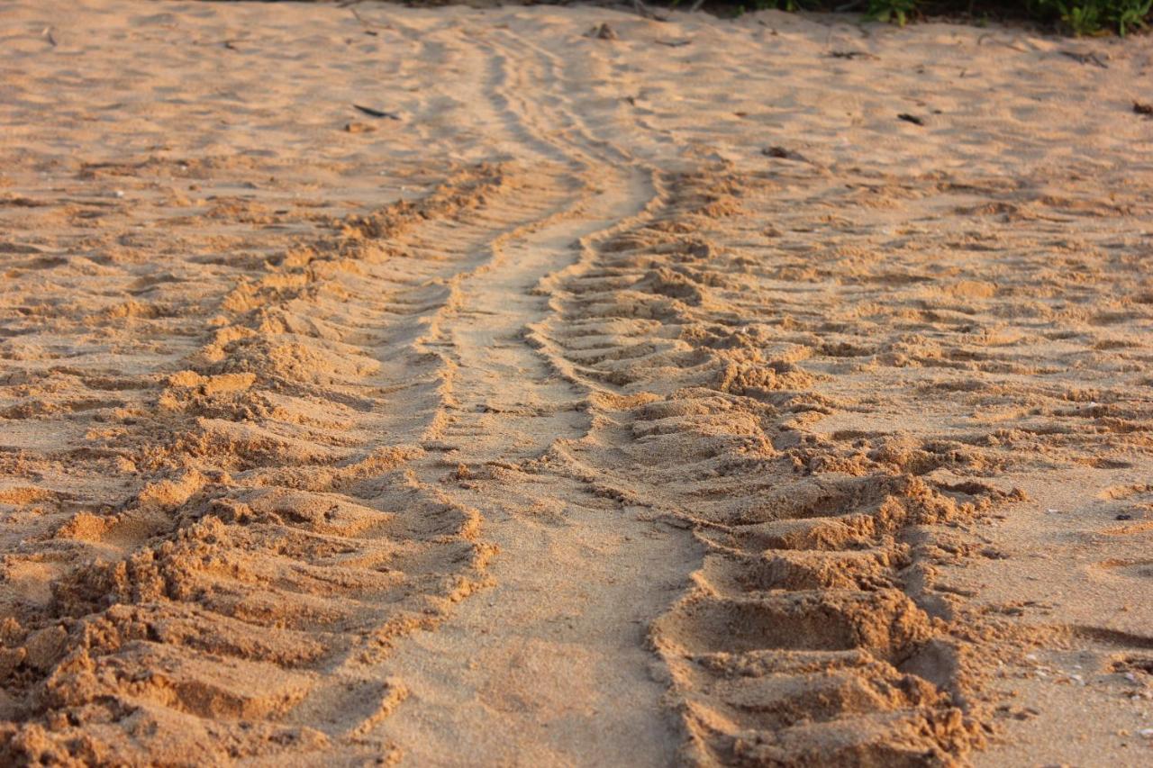 Sati Villa Rekawa Beach Sri Lanka 坦加拉 外观 照片